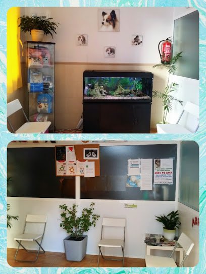 Veterinario Veterinario Full Animals