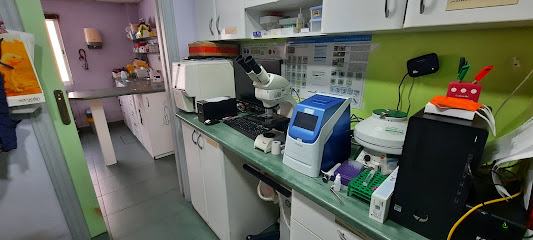 Veterinario Juan Jesús Domínguez Arias 1 Veterinario Veterinario Juan Jesús Domínguez Arias
