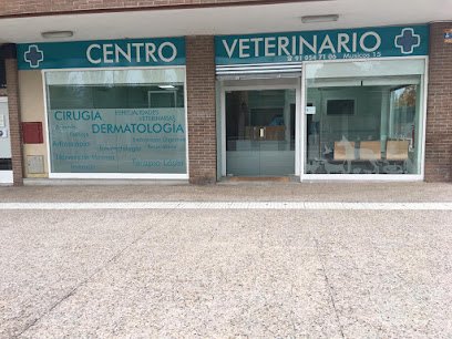 Veterinario Veterinario Músicos