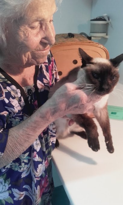 Veterinario Veterinario Parets