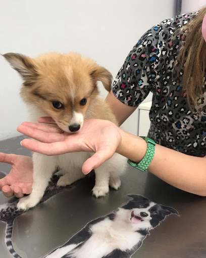 Veterinario Veterinario Scooby Illescas
