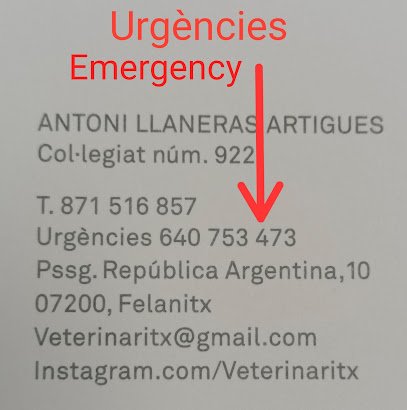 Veterinario Veterinàritx Clínica veterinària