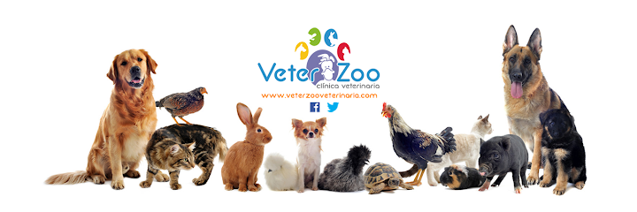 Veterinario Veterzoo Rojales
