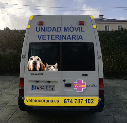 Vetmo-Veterinario a Domicilio 1 Veterinario Vetmo-Veterinario a Domicilio