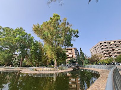 Veterinario Vetocardia