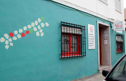 Vitalveterinaria 1 Veterinario Vitalveterinaria