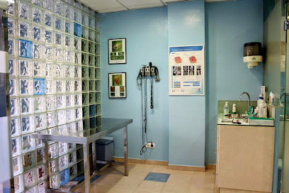 Vovet Serveis Veterinaris 1 Veterinario Vovet Serveis Veterinaris