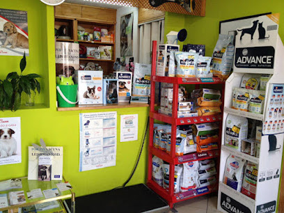 clinica veterinaria huetor vega 1 Veterinario clinica veterinaria huetor vega