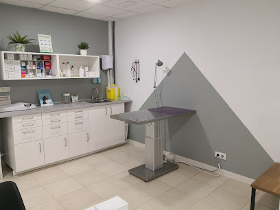 iVet Centre Veterinari 1 Veterinario iVet Centre Veterinari