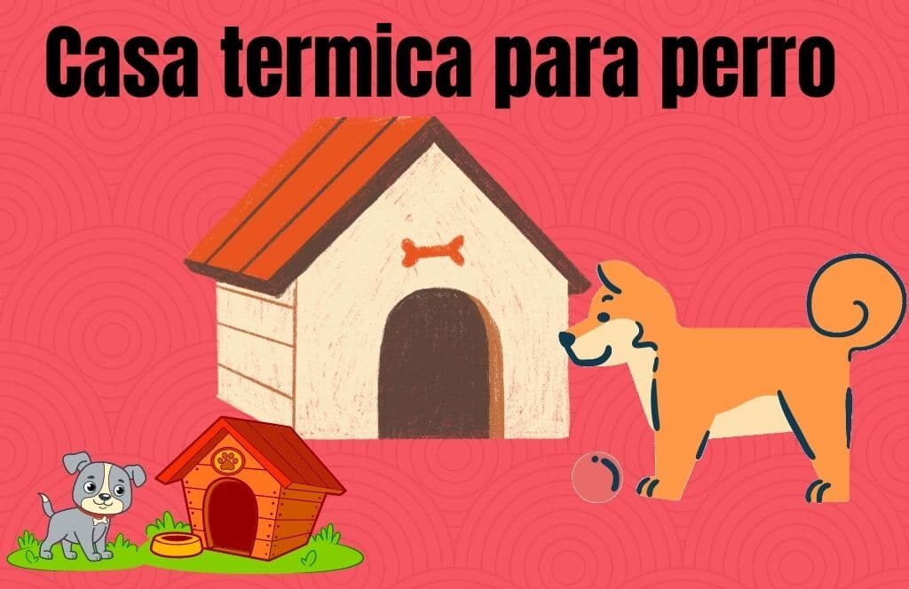 casa termica para perro