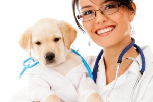 ¿Cómo explicar a un niño que es un veterinario?