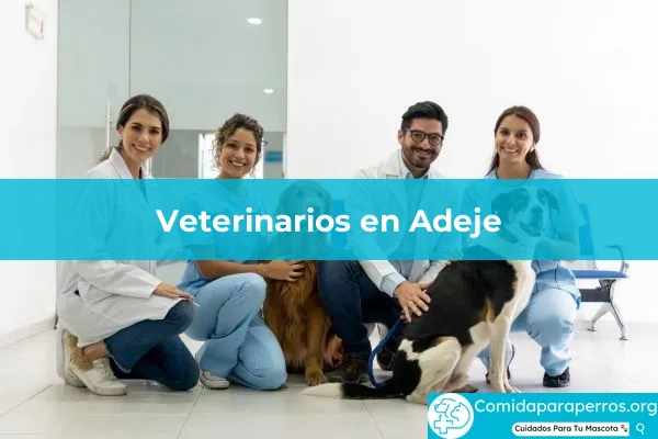 Veterinarios en Adeje