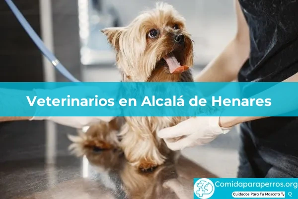 Veterinarios en Alcalá de Henares