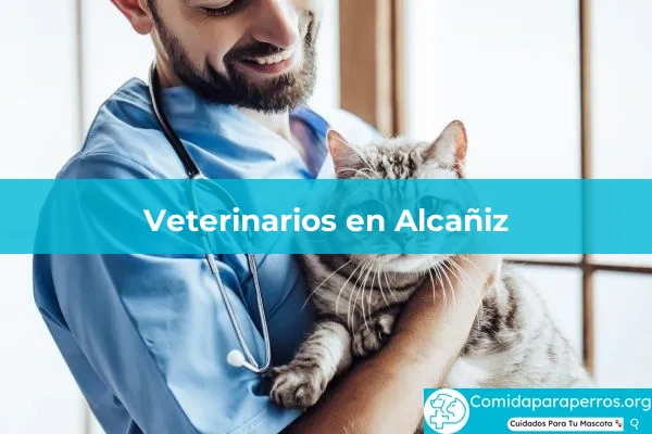 Veterinarios en Alcañiz