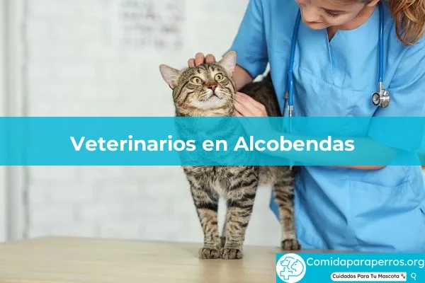 Veterinarios en Alcobendas