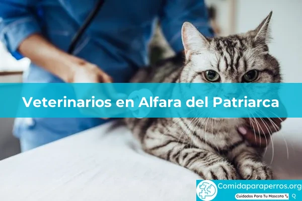 Veterinarios en Alfara del Patriarca