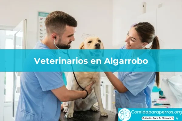 Veterinarios en Algarrobo