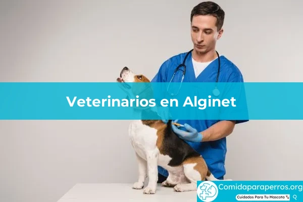 Veterinarios en Alginet