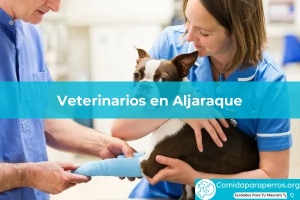 Veterinarios en Aljaraque