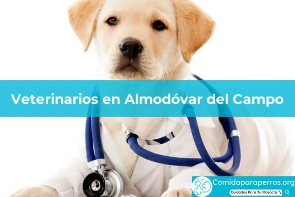 Veterinarios en Almodóvar del Campo