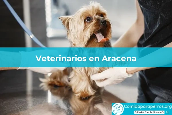 Veterinarios en Aracena