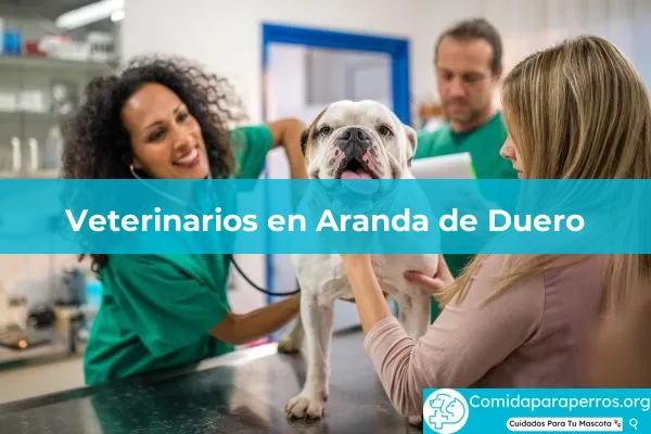 Veterinarios en Aranda de Duero