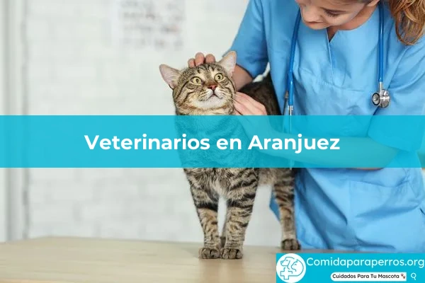 Veterinarios en Aranjuez