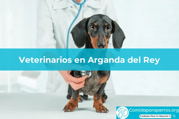 Veterinarios en Arganda del Rey