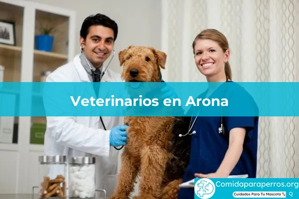 Veterinarios en Arona