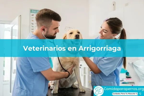 Veterinarios en Arrigorriaga