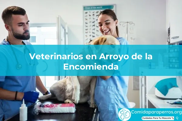 Veterinarios en Arroyo de la Encomienda