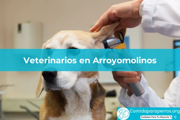 Veterinarios en Arroyomolinos