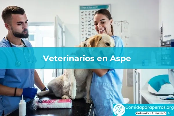 Veterinarios en Aspe