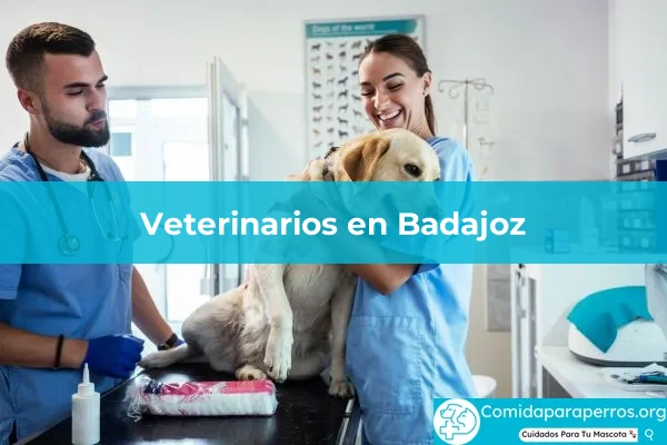 Veterinarios en Badajoz