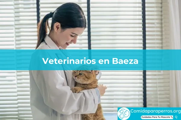 Veterinarios en Baeza