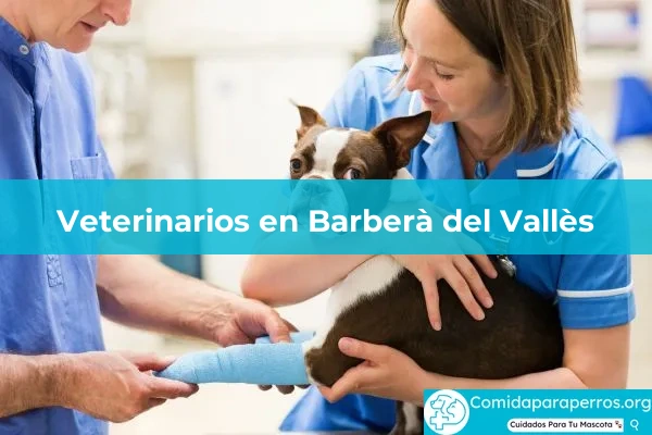 Veterinarios en Barberà del Vallès