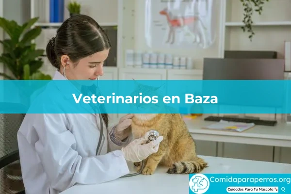 Veterinarios en Baza