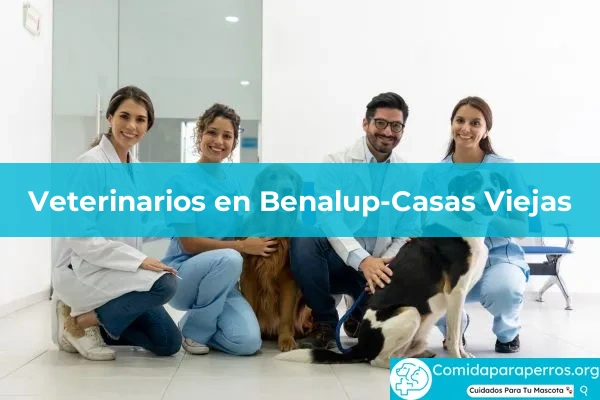 Veterinarios en Benalup-Casas Viejas