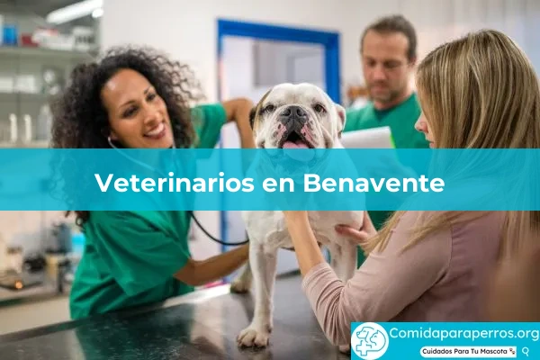 Veterinarios en Benavente