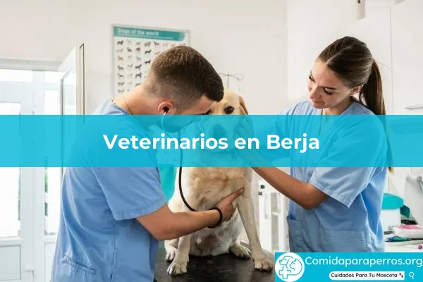 Veterinarios en Berja