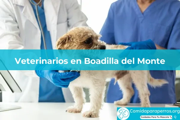 Veterinarios en Boadilla del Monte