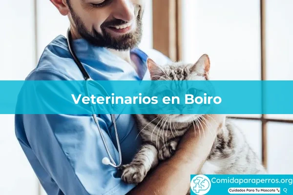 Veterinarios en Boiro