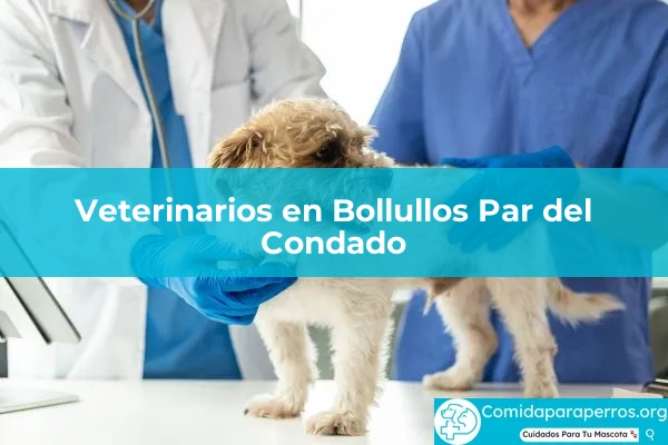 Veterinarios en Bollullos Par del Condado