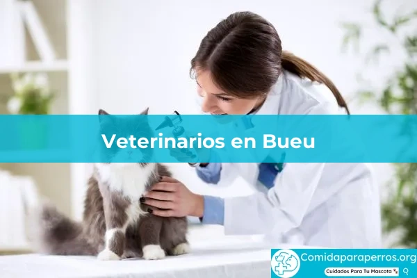 Veterinarios en Bueu