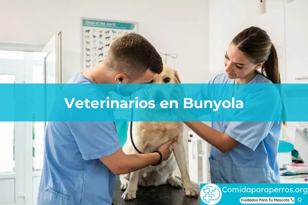 Veterinarios en Bunyola