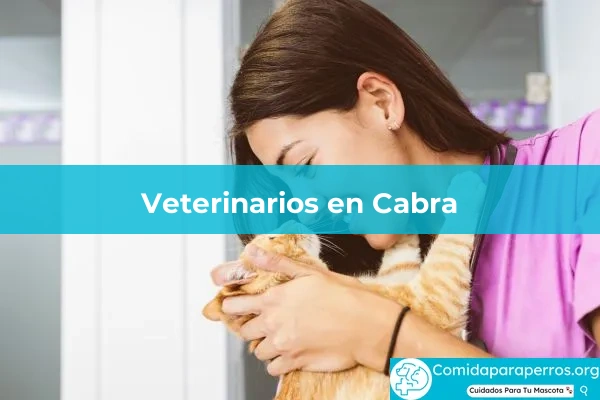 Veterinarios en Cabra