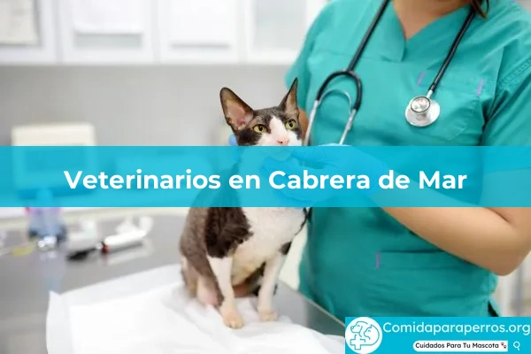 Veterinarios en Cabrera de Mar