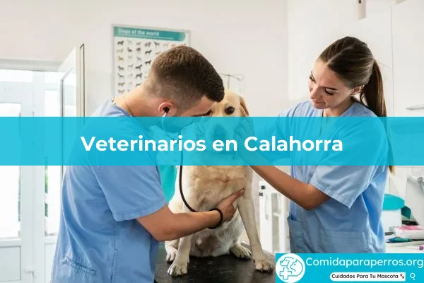 Veterinarios en Calahorra