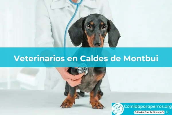 Veterinarios en Caldes de Montbui