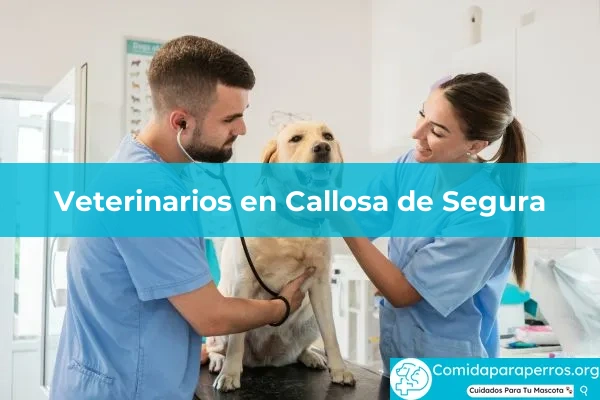 Veterinarios en Callosa de Segura